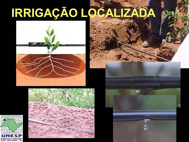 fernandopolis_25abr2012 (36).JPG